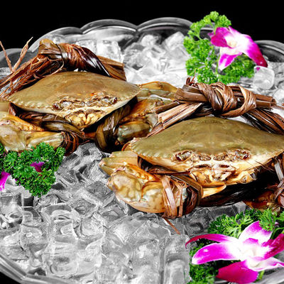 220kg Ημερήσιο Ηλεκτρικό ρεύμα LZ-500 Προσαρμοσμένα μεγέθη Square Cube Ice Maker Machine Κόστος